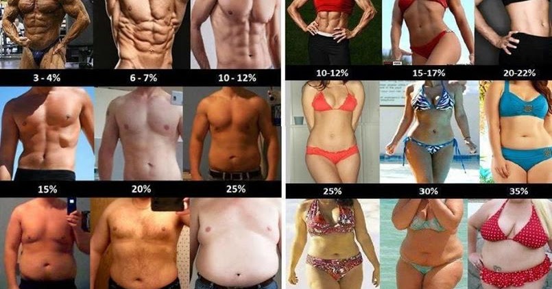 The Bodybuilding Diet: How I fixed my health, and became The Hulk